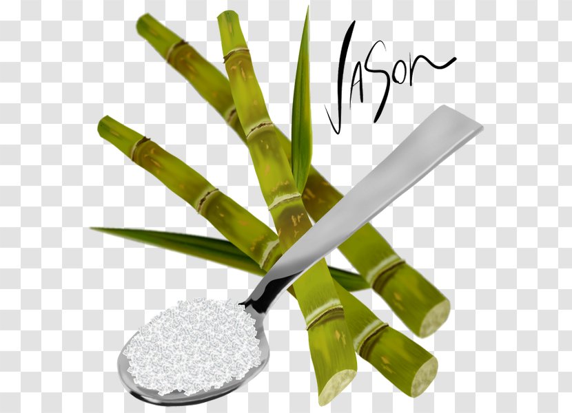 Sugarcane Juice Sugar Cookie - Food Transparent PNG