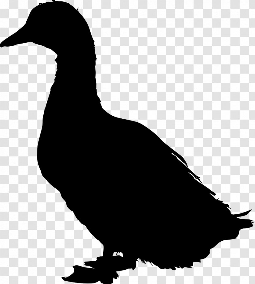 American Pekin Duck Mallard Bird Silhouette - Monochrome Photography Transparent PNG