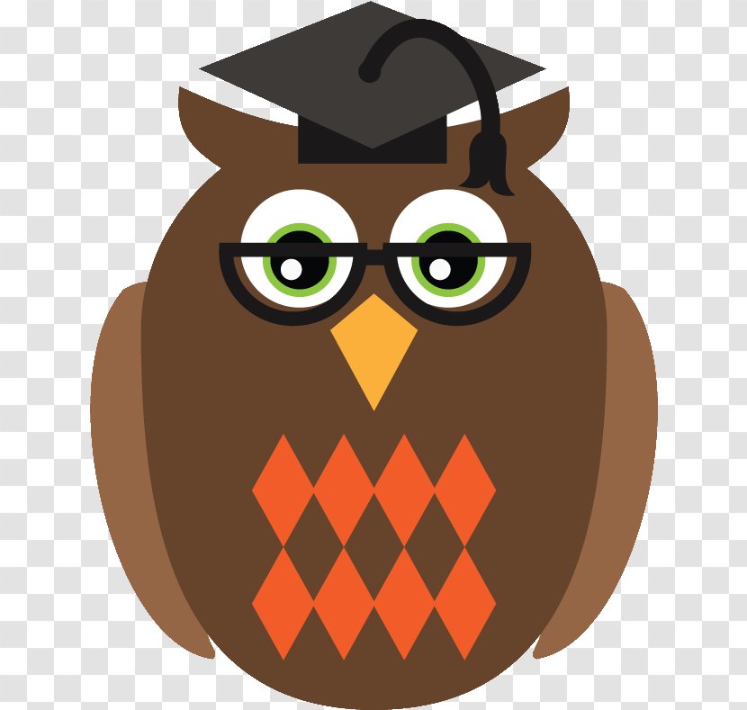 Glasses - Owl - Bird Transparent PNG
