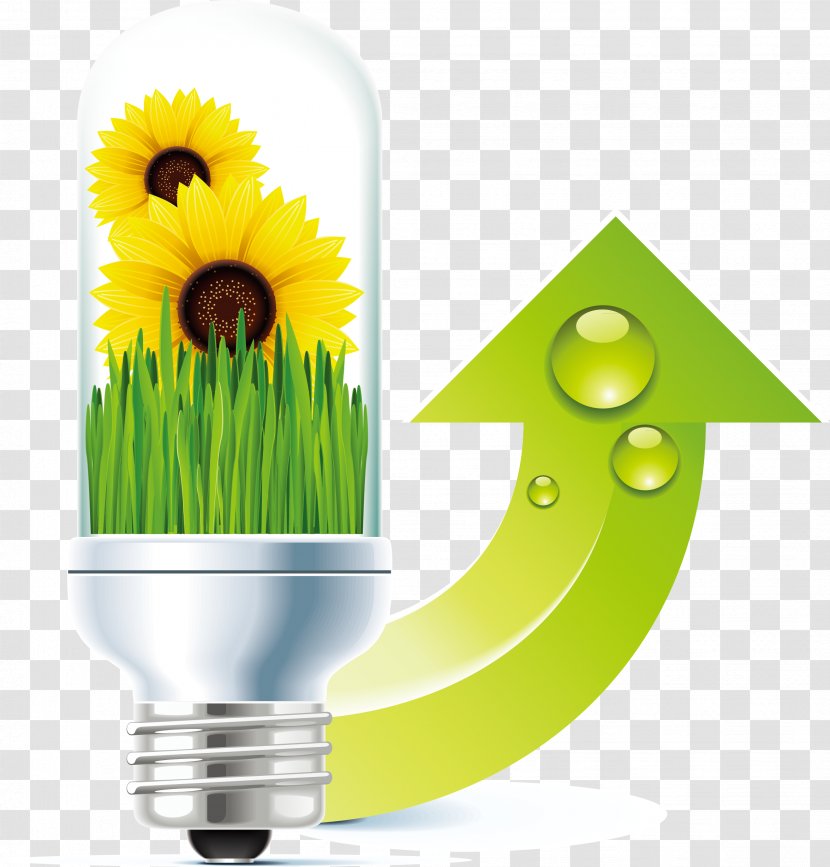 Royalty-free Clip Art - Green - Grass Sunflower Light Bulb Elements Transparent PNG