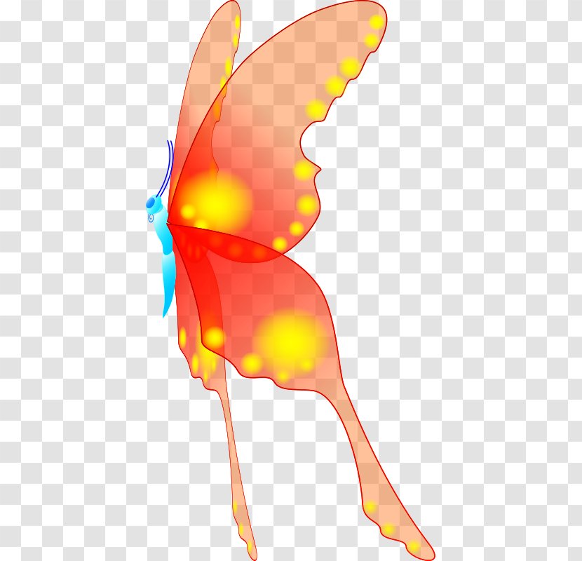 Clip Art Insect Butterfly Borboleta Image - Orange Transparent PNG