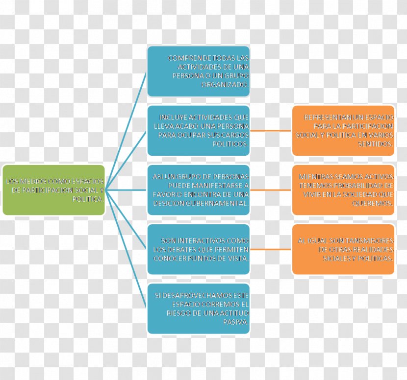 Tree Diagram Phylogenetic System - Hierarchy Transparent PNG