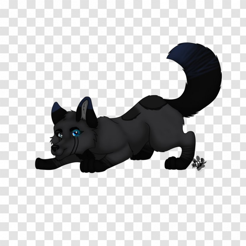 Dog Cat Canidae Carnivora Snout - Black M - Playful Transparent PNG