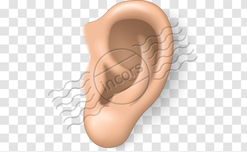 Ear Clip Art - Watercolor - Ears Transparent PNG