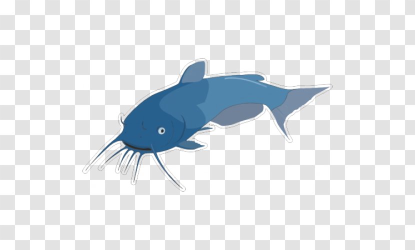 Cartoon Drawing Catfish Clip Art - Marine Mammal - Fish Transparent PNG