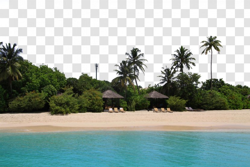 Maldives Hilton Hotels & Resorts - Xierdunyi Lucy Island Transparent PNG