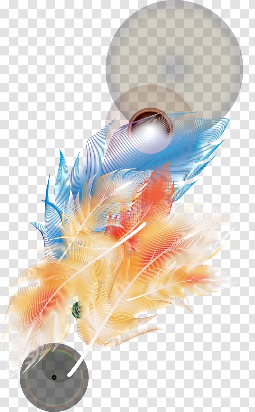 Feather - Wing Transparent PNG