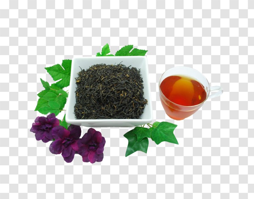 Hōjicha Oolong Nilgiri Tea Earl Grey - Dianhong Transparent PNG