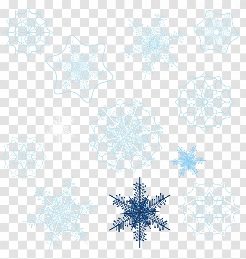 Snowflake Shape - Symmetry - A Variety Of Snowflakes Transparent PNG