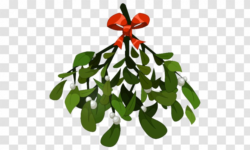 Mistletoe Phoradendron Tomentosum Christmas Clip Art - Leaf Transparent PNG