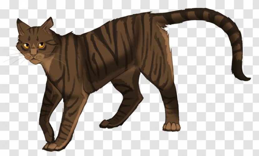 Warriors Dovewing Erin Hunter Tigerheart DeviantArt - Tail Transparent PNG