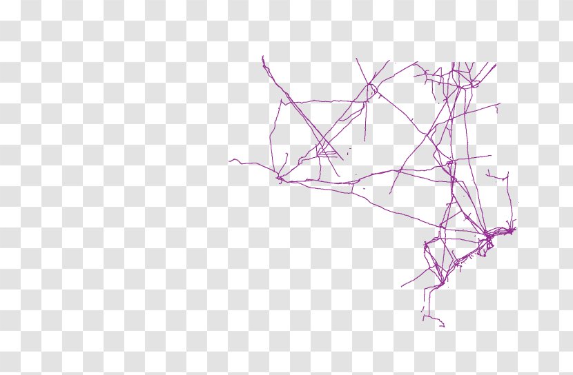 Product Design Drawing Line Pink M Transparent PNG