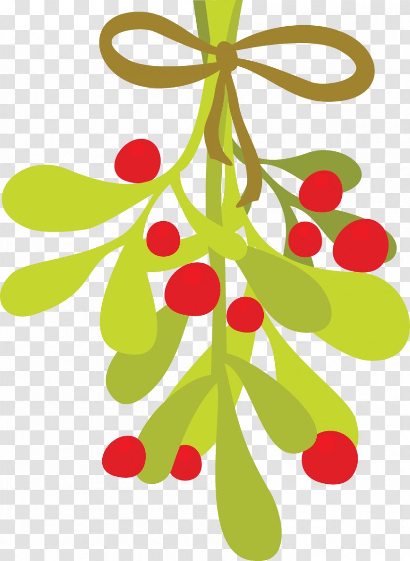Mistletoe Phoradendron Tomentosum Clip Art - Christmas Decoration - Cliparts Transparent PNG