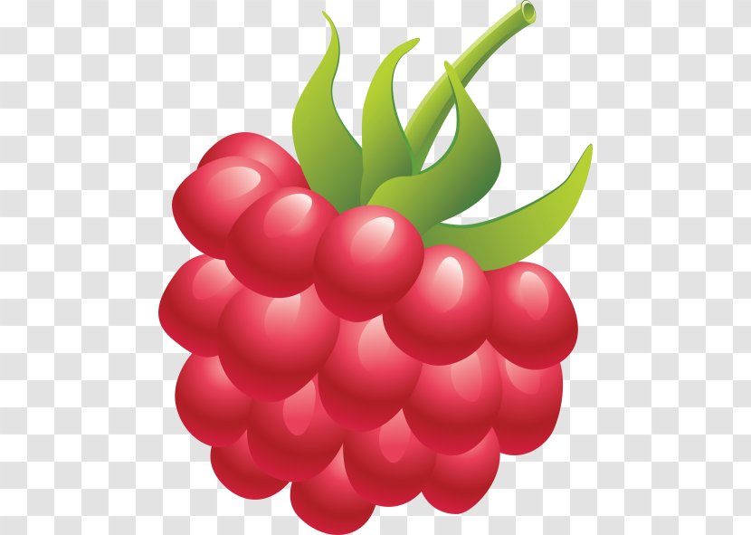 Clip Art Raspberry Openclipart Fruit - Petal Transparent PNG