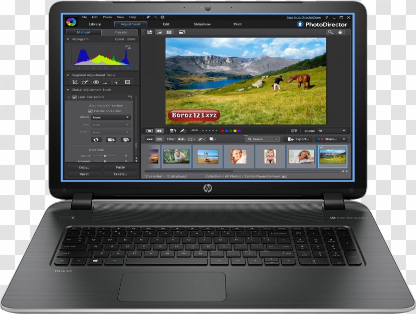 Laptop Netbook Hewlett-Packard Computer Hardware - Monitor Transparent PNG