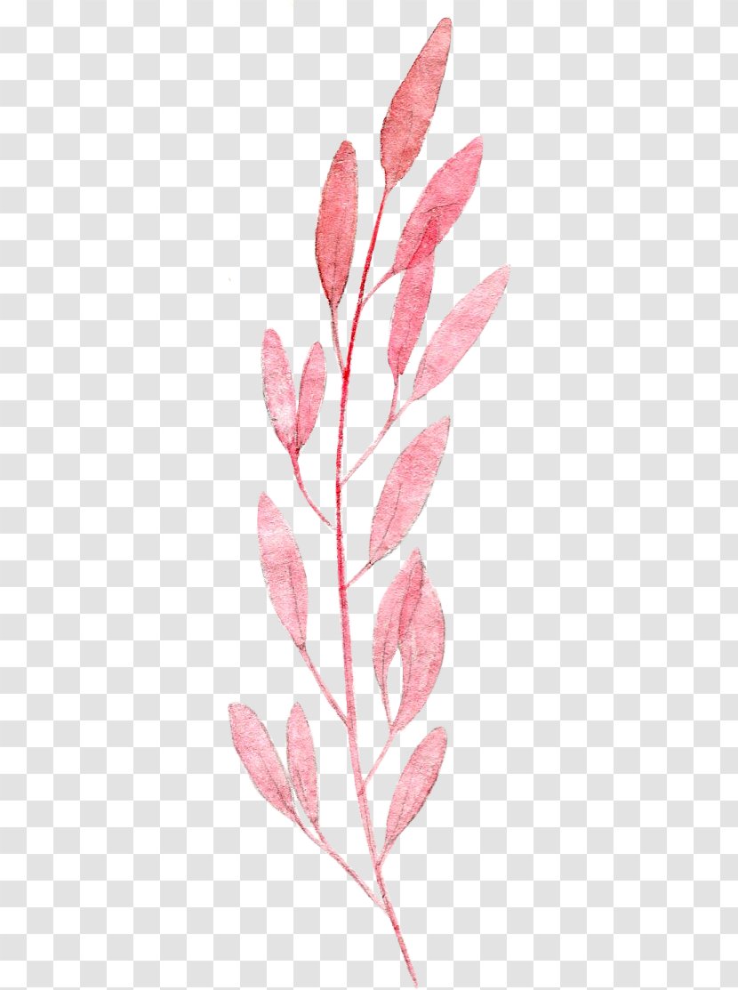 Watercolor Painting Leaf Pink Drawing - Leaves Transparent PNG