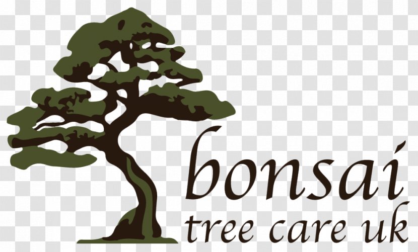 Tree The Living Art Of Bonsai Logo Waterboard Me - Organism Transparent PNG
