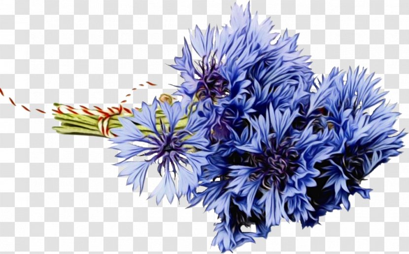 Floral Flower Background - Plant - Globe Thistle Transparent PNG