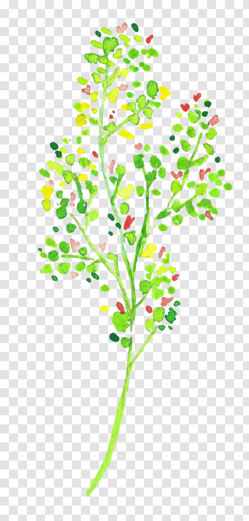 Twig Green Tree Color Transparent PNG