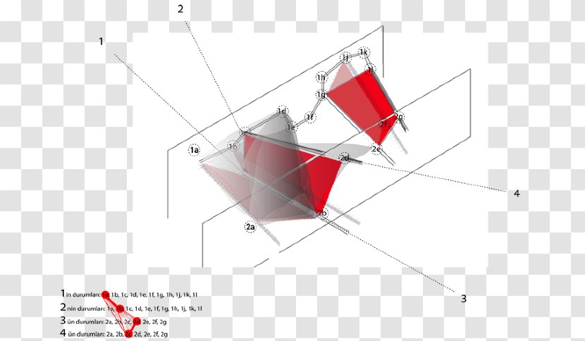 Line Angle Point - Rectangle - Mimosa Pudica Transparent PNG