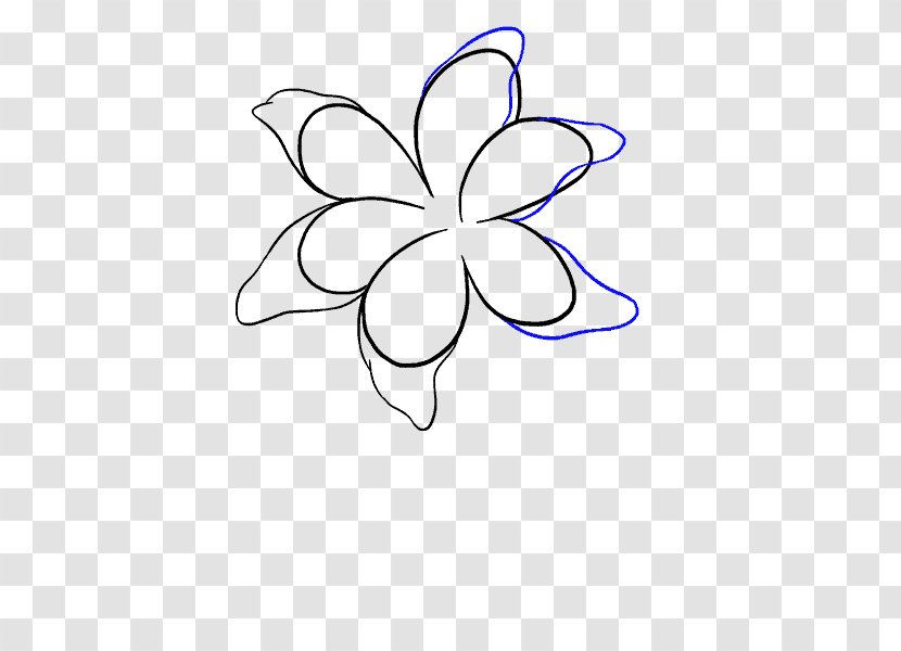 Drawing How-to Lilium Line Art - Moths And Butterflies - Flower Transparent PNG
