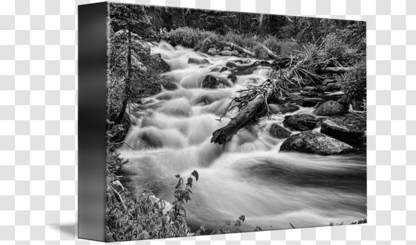 Water Resources State Park Feature Photography - Landscape - Mountain Stream Transparent PNG