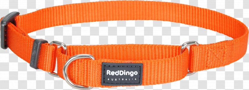 Dog Collar Dingo Cat - Red Transparent PNG