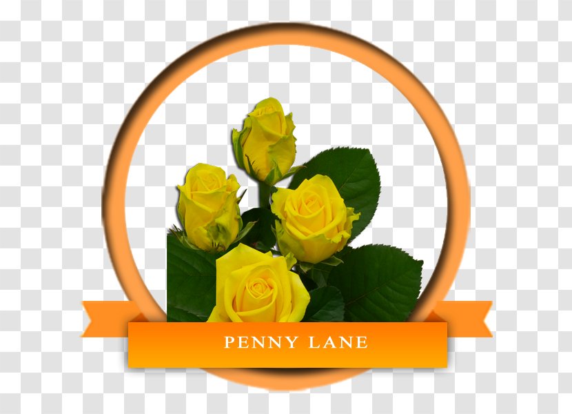 Garden Roses Flower Yellow Floral Design - Petal - Acoma Pottery Transparent PNG