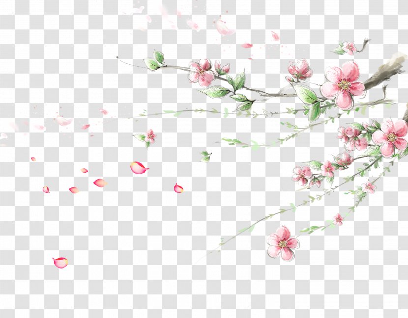 Flower Cherry Blossom Wallpaper - Color - Plum Corner Transparent PNG