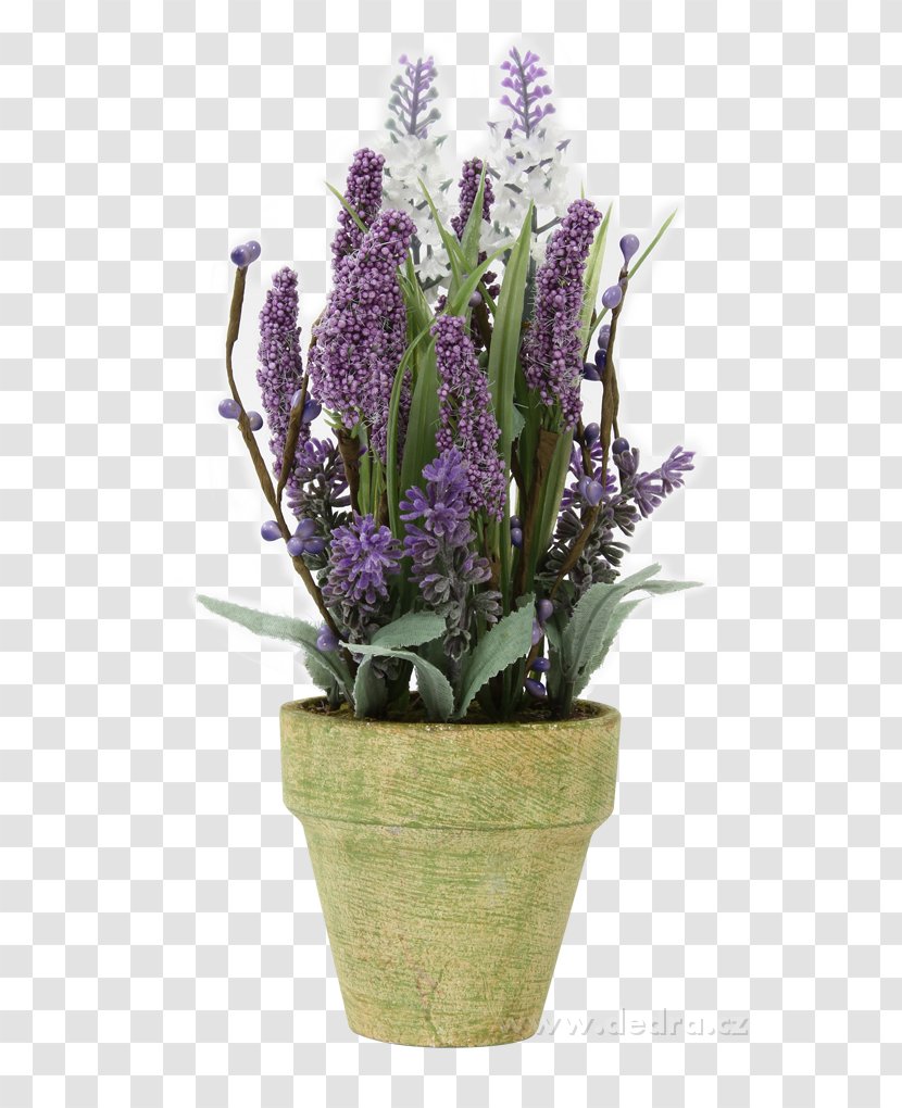 English Lavender French Flowerpot - Flowering Plant - Plumeria Alba Transparent PNG