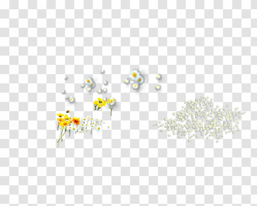 U767du83cau82b1 White Chrysanthemum Yellow Pattern - Flowers,chrysanthemum,White Chrysanthemum,Yellow Daisy Transparent PNG