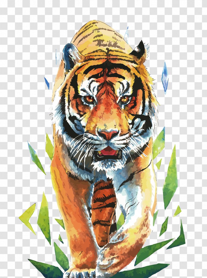 Siberian Tiger Drawing - Art - Vector Grapes Tigers Transparent PNG