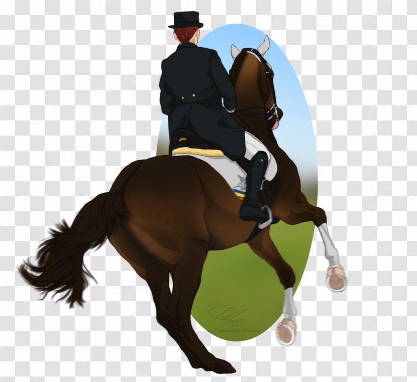 Hunt Seat Stallion Rein Dressage Mustang - Horse Trainer - Olympics Decorative Shading Transparent PNG