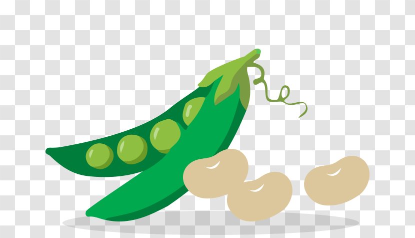 Leaf Vegetable Fruit Clip Art - Beans Vejitble Transparent PNG