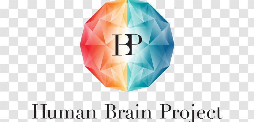 Human Brain Project European Union École Polytechnique Fédérale De Lausanne - Brand Transparent PNG