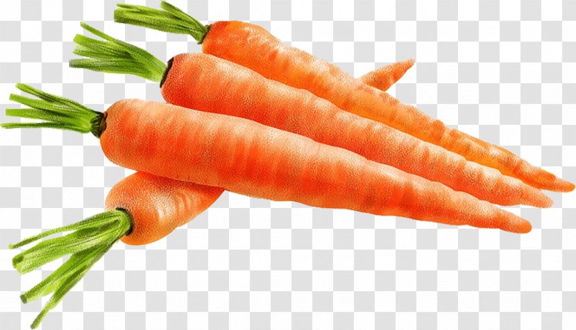 Baby Carrot Local Food Mirepoix Natural Foods - Hand-painted Transparent PNG