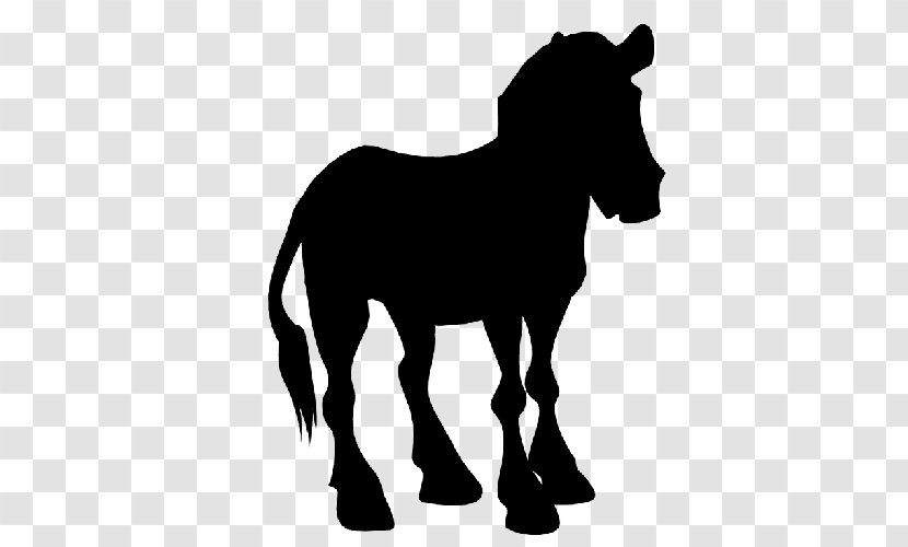Mule Foal Stallion Mare Mustang - Blackandwhite - Pony Transparent PNG
