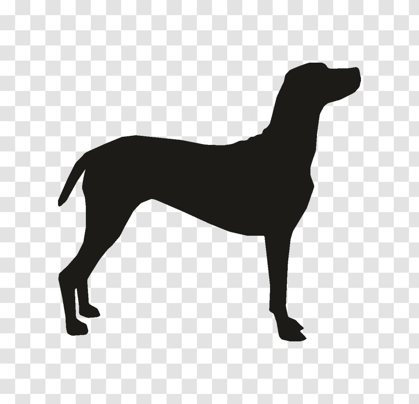 Dobermann Bulldog Bull Terrier Puppy Dog Harness Transparent PNG