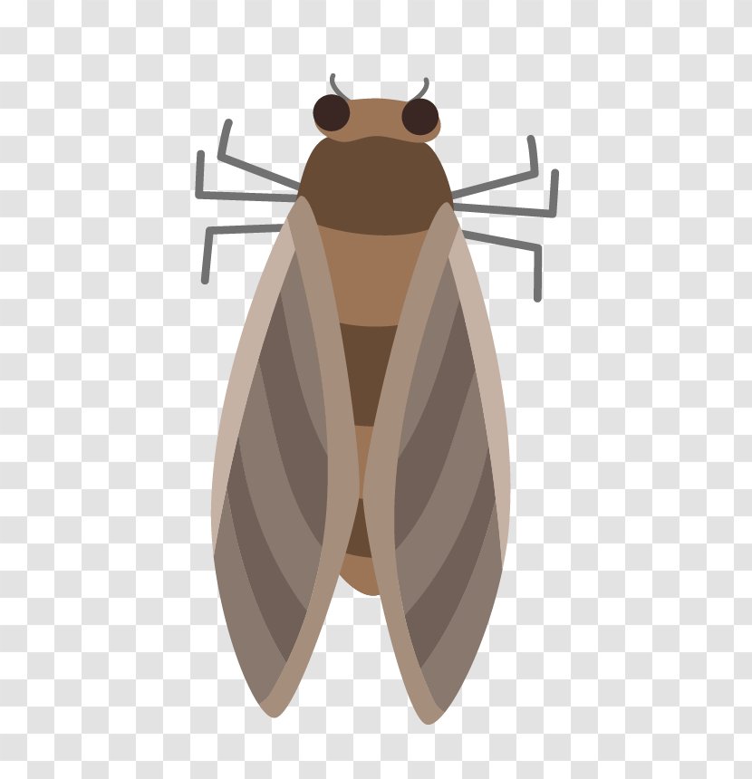 Moth Butterfly Insect Pest Transparent PNG