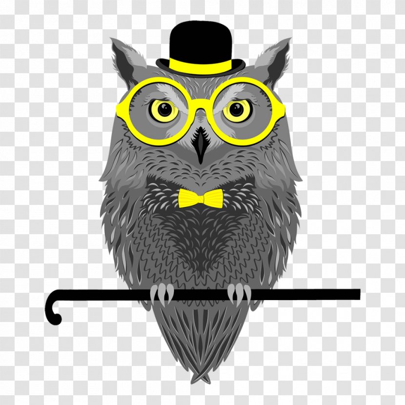 Owl Stock Photography Glasses - Owls Transparent PNG