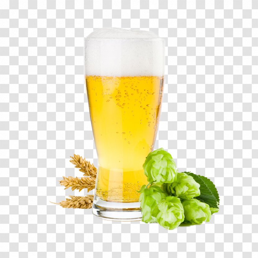 Malt Beer Ale Brewing Grains & Malts Artisau Garagardotegi - Pint Us - Wheat Transparent PNG