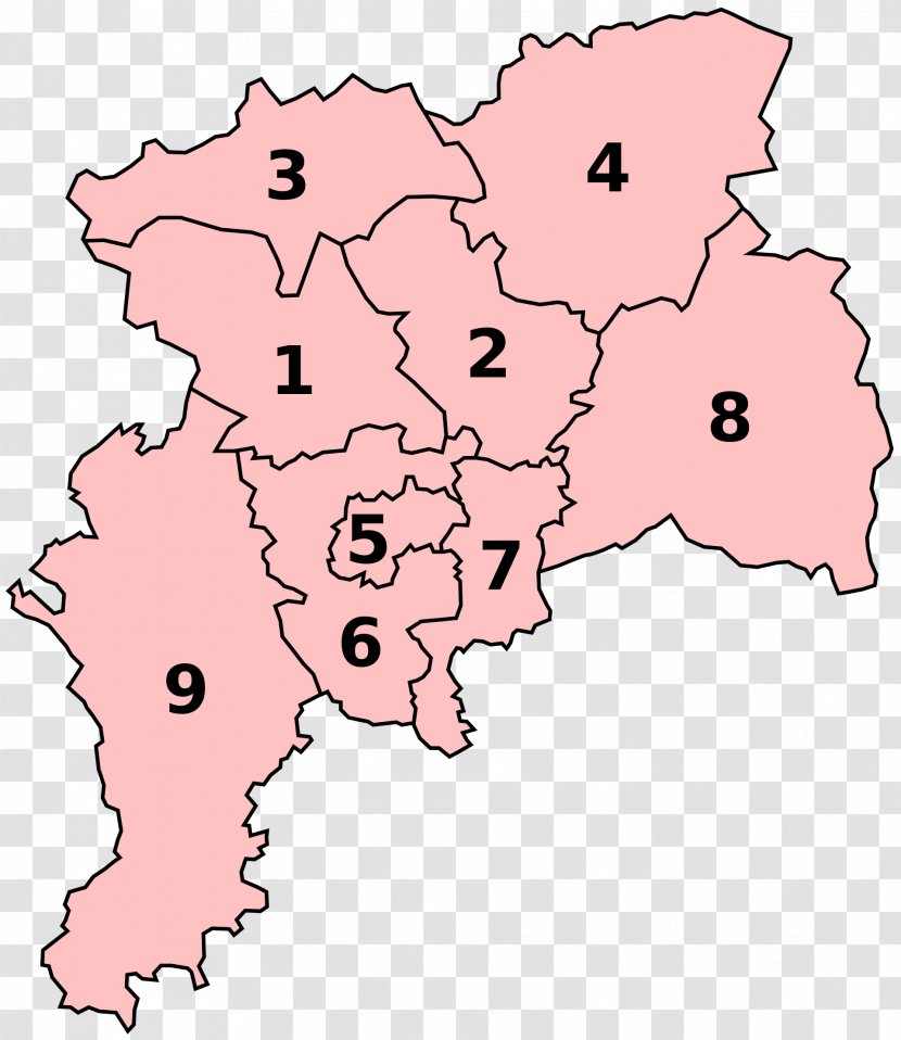 Sheffield City Region Combined Authority Barnsley North East Derbyshire Dales - Pink Transparent PNG