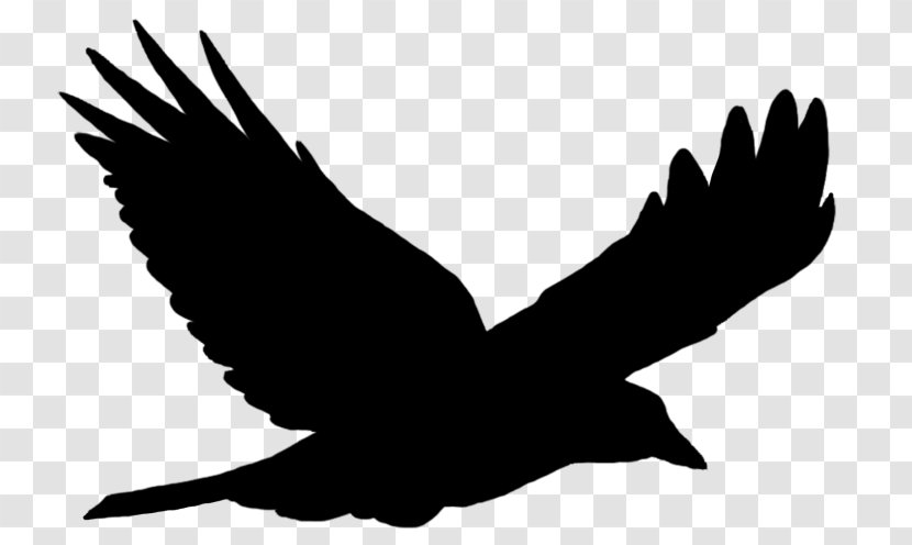 Bird Flight Clip Art - Wing Transparent PNG