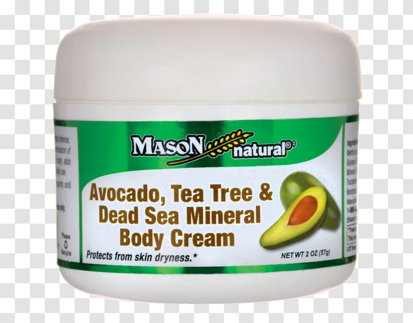Cream Lotion Tea Tree Oil Avocado - Food Transparent PNG