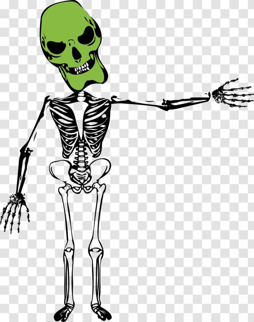 Bone Skeleton Homo Sapiens U9ab7u9ac5 - Flower - Skull Transparent PNG