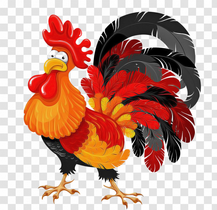 Chicken Rooster Bird Comb Fowl Transparent PNG
