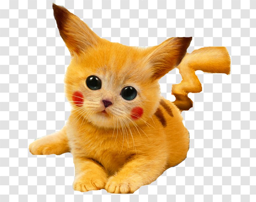 Cat Kitten Pikachu Puppy Cuteness - Carnivoran - File Pokemon Transparent PNG
