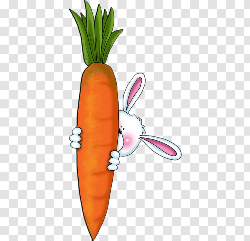 Carrot Cake Hare Rabbit Clip Art - Vegetable Transparent PNG