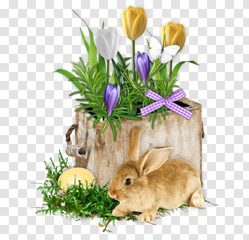 Easter Bunny Carnival Of Venice Egg Christmas - Rabbit - Ester Transparent PNG