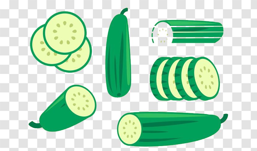Cucumber Euclidean Vector - Melon Transparent PNG